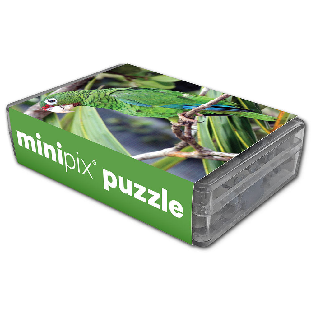 Kids On The Go Mini Animal Puzzle Set - Puerto Rican Parrot