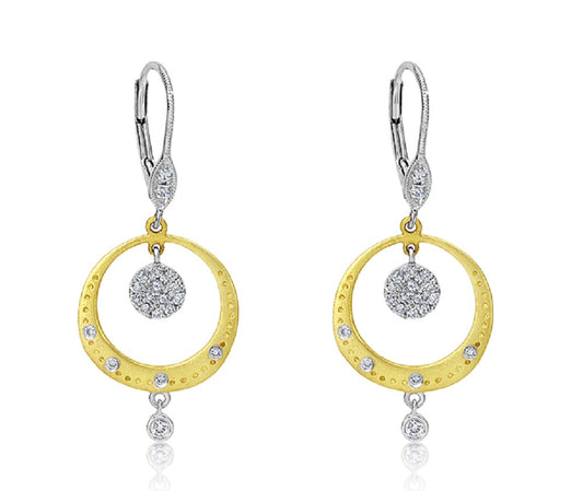 Two Tone Gold Earring