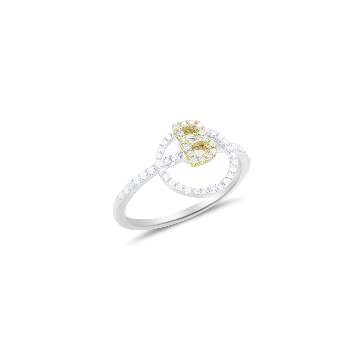 Yellow and White Gold Initial Spinning Diamond Ring